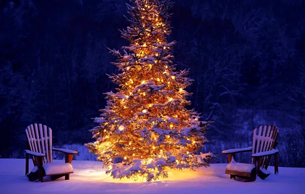 Картинка holiday, snow, праздник, зима, lights, огни, Christmas, лес