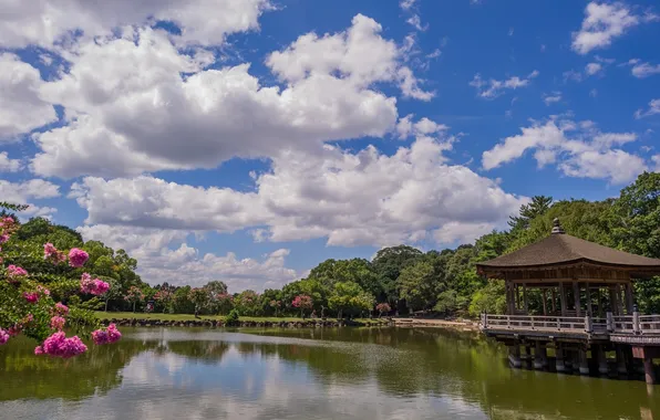 Облака, деревья, пруд, Japan, беседка, павильон, Ukimido Pavilion, Парк Нара