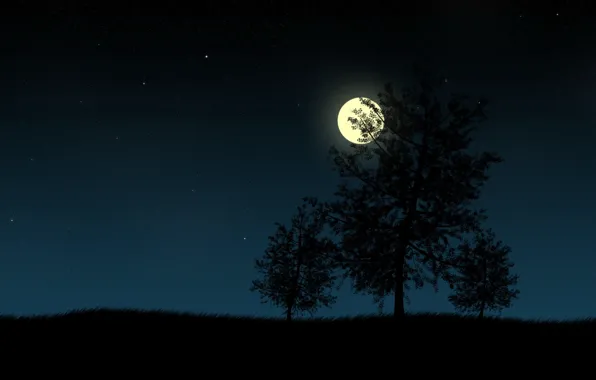 Ночь, луна, вектор, Деревья