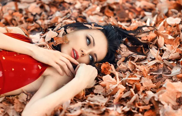 Картинка листья, девушка, макияж, Alessandro Di Cicco, Perfect Autumn