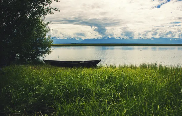 Лето, природа, байкал