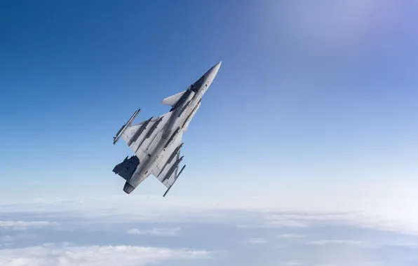 Saab, многоцелевой истребитель, JAS 39D