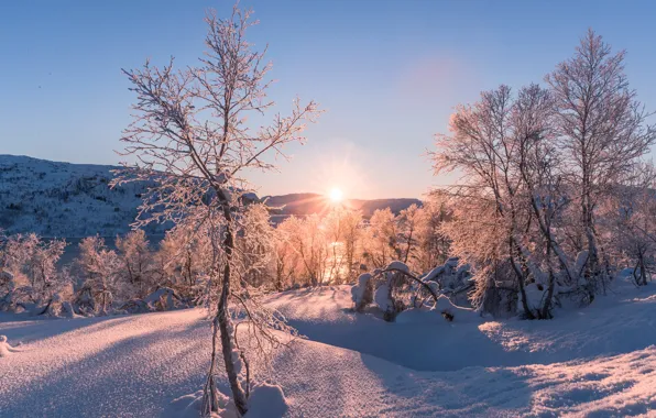 Зима, солнце, снег, день, December evening
