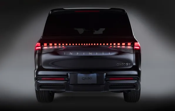 Infiniti, вид сзади, Внедорожник, Sport, SUV, Люкс, AWD, QX80