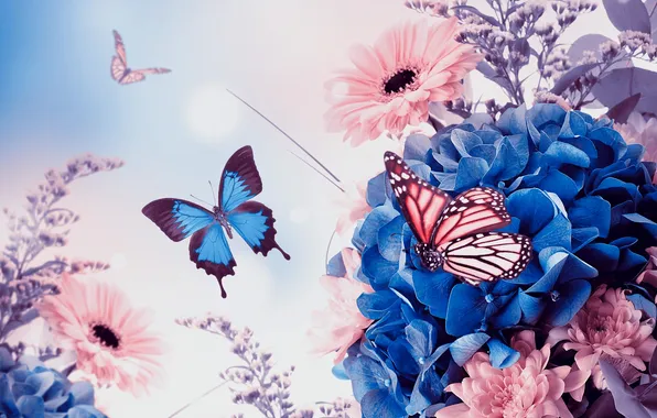 Картинка бабочки, цветы, хризантемы, листики, гортензия, гербера