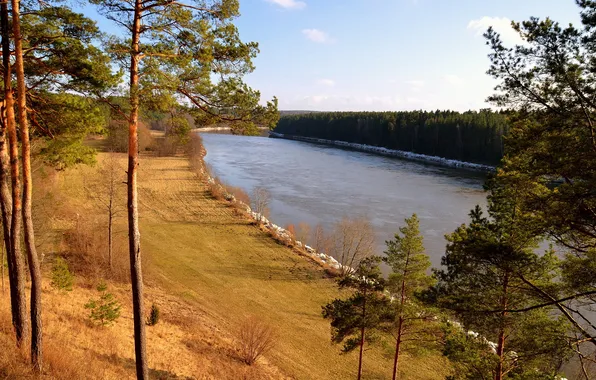 Картинка деревья, река, берег