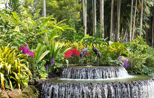 Картинка деревья, цветы, птицы, водопад, сад, Сингапур, фонтан, орхидеи