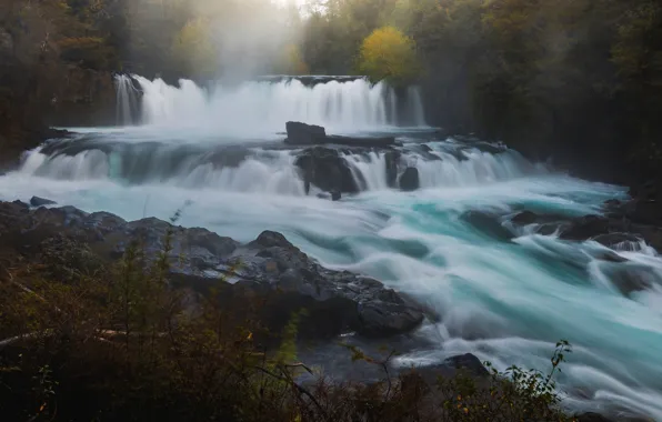 Осень, лес, лето, вода, деревья, пейзаж, ветки, природа