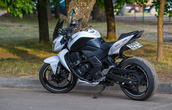 Лето, спорт, техника, мотоцикл, спортбайк, kawasaki ninja