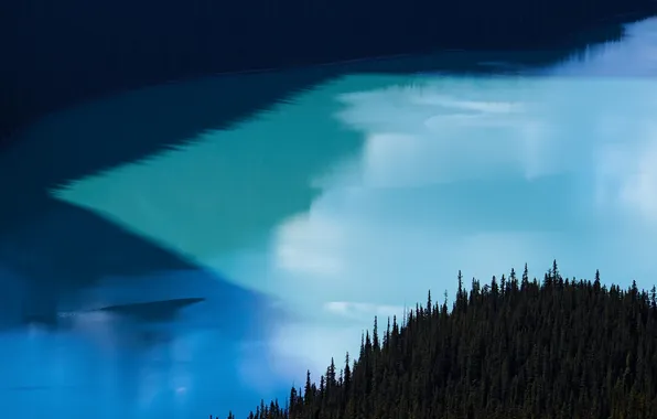Картинка лес, озеро, елки, Alberta, Canada, Peyto Lake