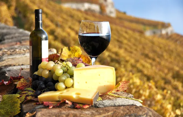 Картинка осень, вино, красное, бокал, бутылка, сыр, виноград, виноградники