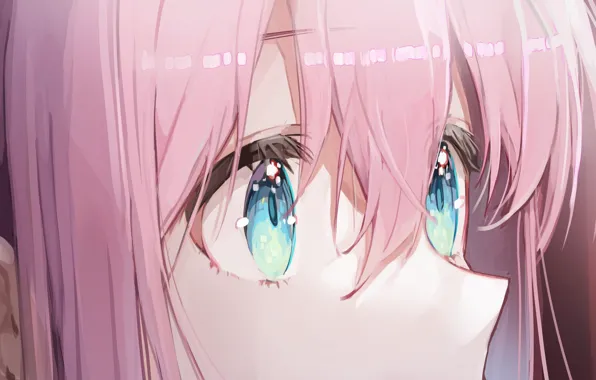 Девушка, голубые глаза, розовые волосы, Bocchi the Rock!, Hitori Gotou