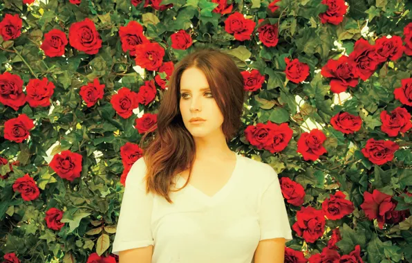 Music, Lana, singer, Lana Del Rey