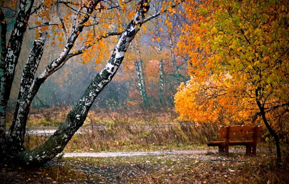 Картинка осень, листья, город, парк, скамья
