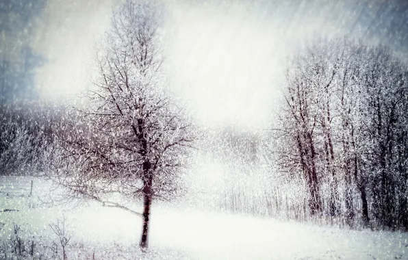 Картинка зима, природа, стиль