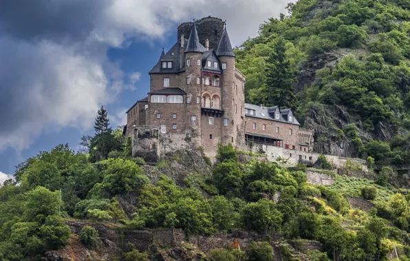 Деревья, скала, замок, гора, Германия, Burg Katz, Катц