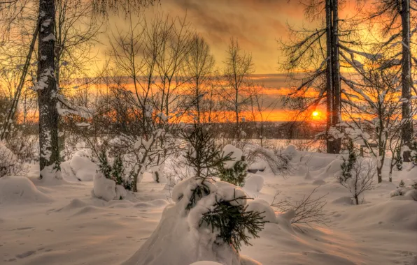 Картинка зима, небо, солнце, облака, пейзаж, закат, природа, white