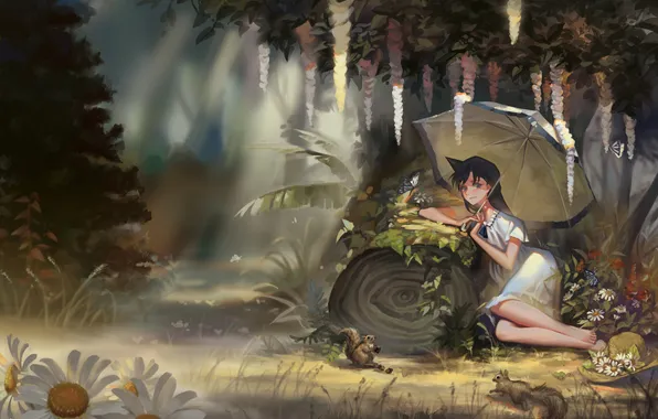 Картинка лес, девушка, цветы, природа, звери, ромашки, шляпа, зонт