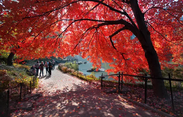 Картинка USA, New York, New York City, autumn, people, america, manhattan, central park