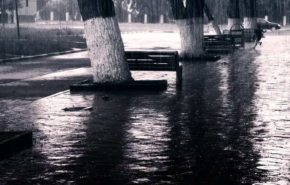 Картинка Дождь, Ливень, Black and White