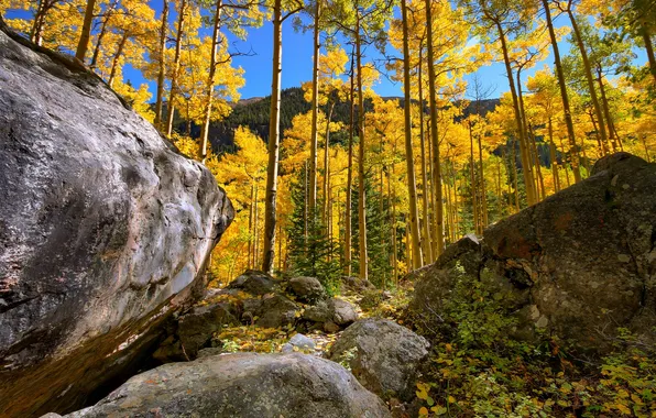 Картинка осень, лес, небо, листья, деревья, горы, камни, скалы