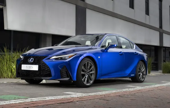 Car, lexus, luxury
