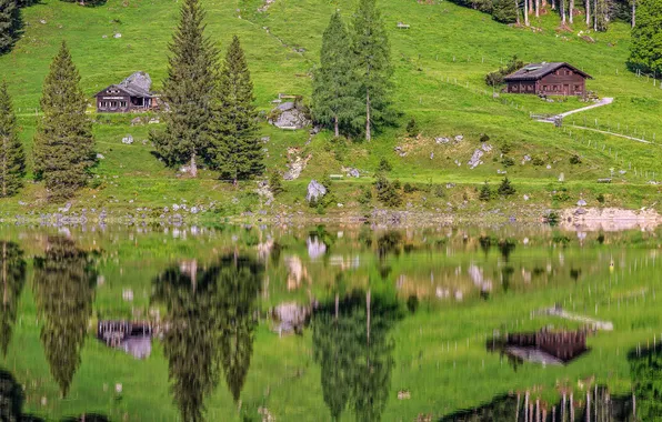 Картинка трава, отражения, деревья, горы, озеро, дом, Германия, склон