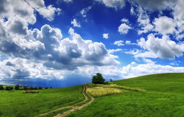Картинка дорога, трава, облака, пейзаж, тучи, дерево, холмы, сено