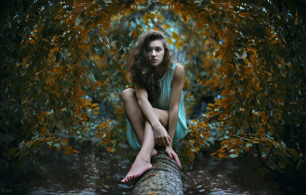 Картинка взгляд, девушка, дерево, ствол, photographer, сидя, Ivan Gorokhov, растерянная
