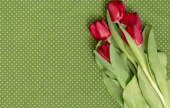 Цветы, букет, тюльпаны, красные, red, flowers, tulips, spring