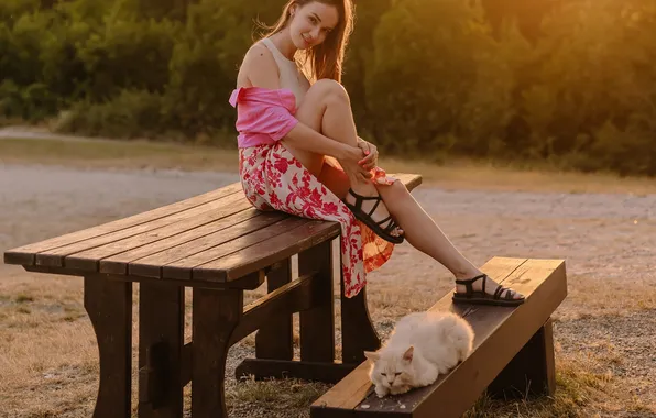 Кот, закат, поза, стол, сидит, Карина, Ульяна Буканова (Мизинова)