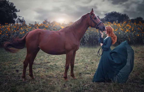 Картинка поле, девушка, настроение, лошадь, платье