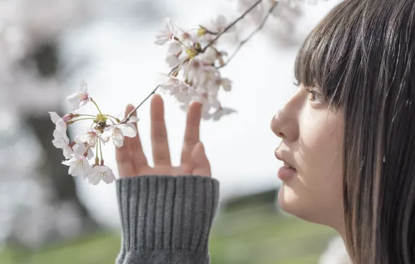 Sakura, women, asian