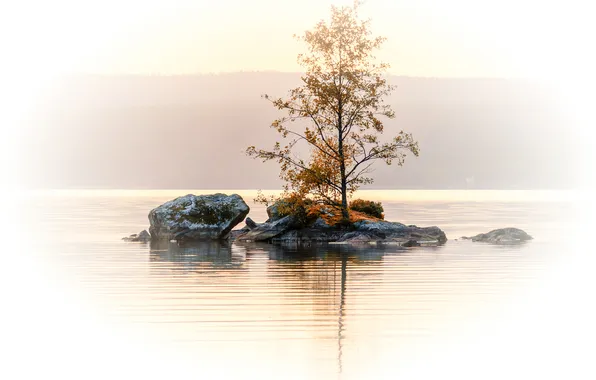Картинка осень, озеро, камни, дерево, остров