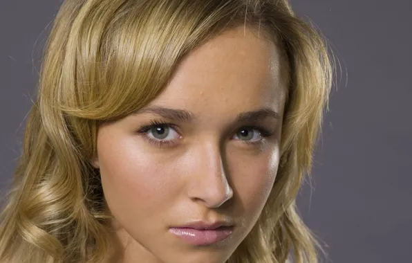 Актриса, Hayden Panettiere, блондинка