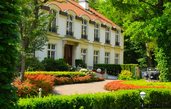 House, park, garden, building