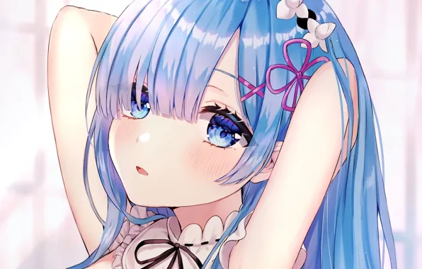 Обои Взгляд, Девушка, Лицо, Голубые Волосы, С Нуля, Рем, Re Zero.