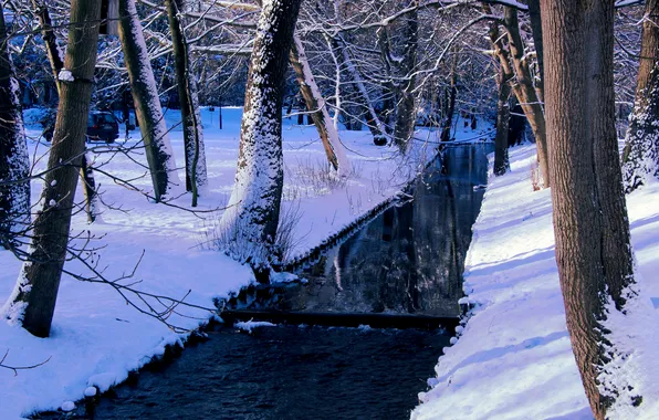 Картинка river, park, winter, snow