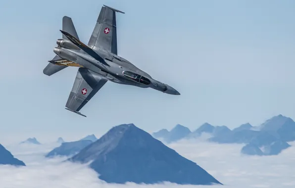 Полет, Hornet, FA-18