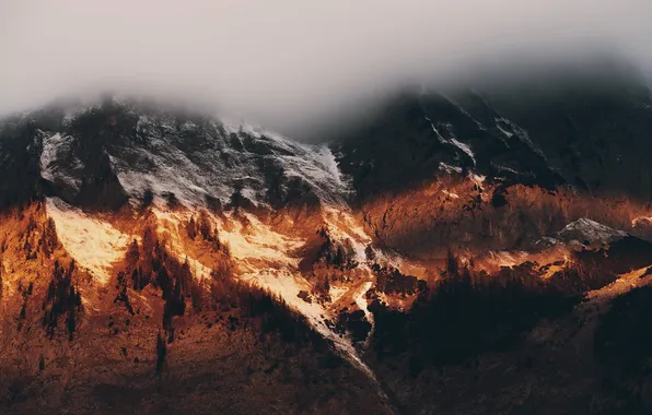 Горы, природа, туман