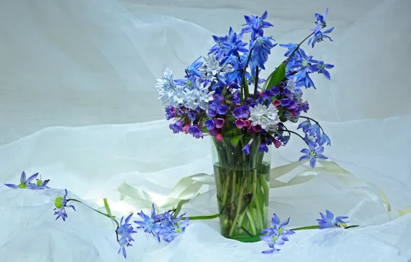 Цветы, красота, весна, подснежники, май, первоцветы, букетик, пролески