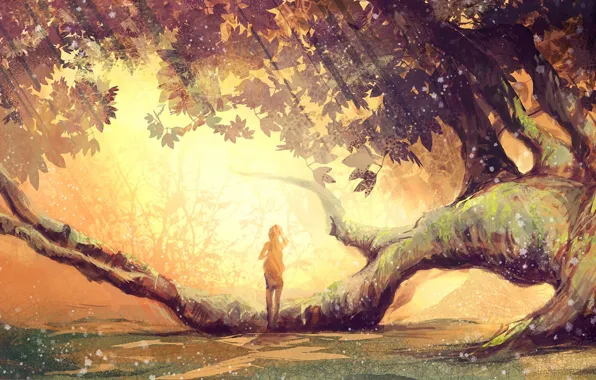 Картинка листья, девушка, дерево, ветви, мох, солнечный свет