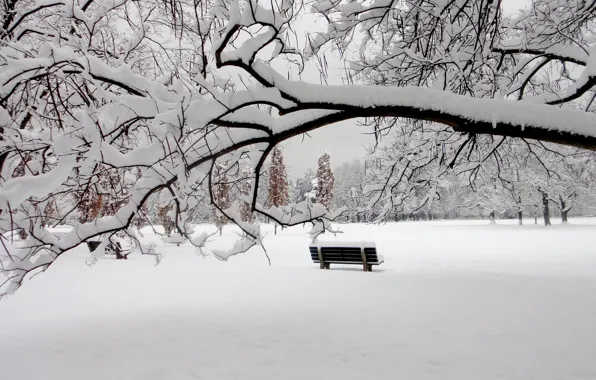 Картинка зима, снег, парк, скамья