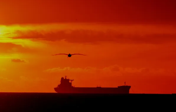Море, полет, закат, корабль, чайки, горизонт, оранжевое небо