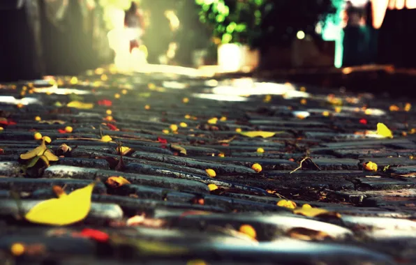 Картинка осень, город, камни, листва, брущатка