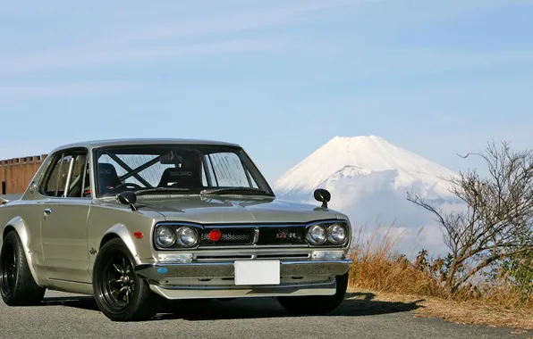 GTR, Nissan, Skyline, Skyline 2000GT-R, HAKOSUKA, KPGC-10