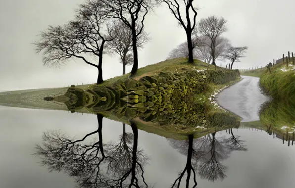 Картинка вода, деревья, отражение