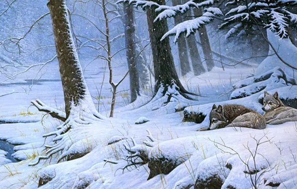 Зима, лес, снег, деревья, ветки, природа, корни, река