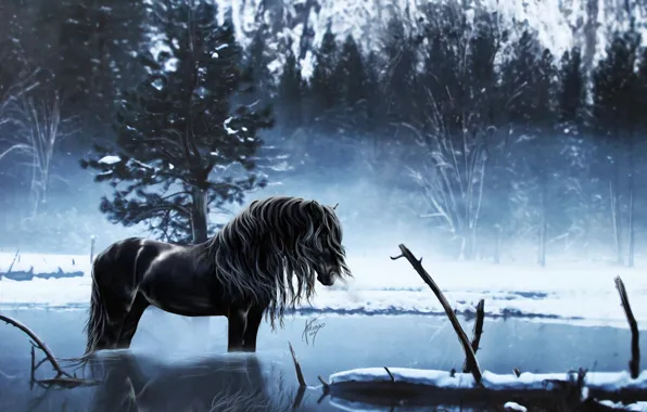 Картинка зима, вода, снег, деревья, озеро, отражение, конь, лошадь