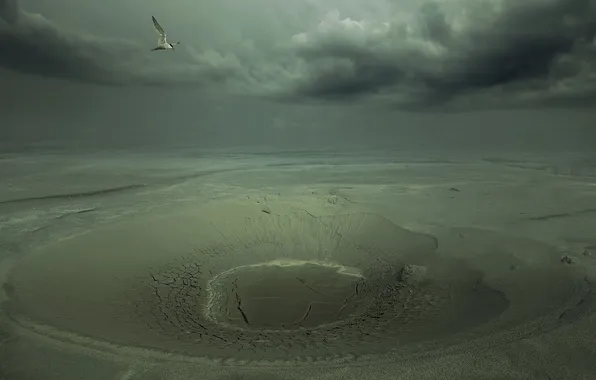 Картинка птица, пустыня, кратер